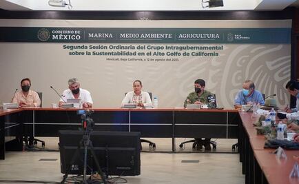 Suman esfuerzos para la conservación de la vaquita marina en el Alto Golfo de California