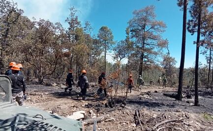 Suman 13 incendios forestales activos en Chihuahua; 352 combatientes atienden los siniestros