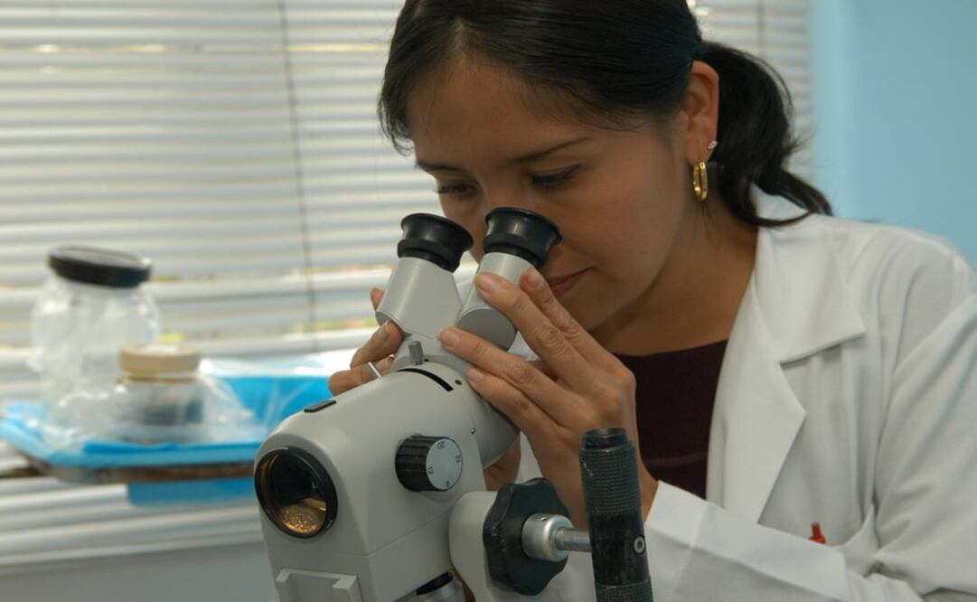 Foto: Archivo / EL UNIVERSAL 