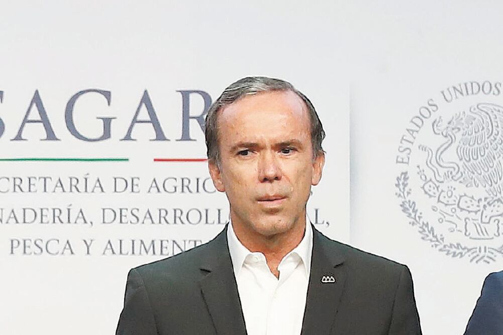 Bosco de la Vega, presidente del CNA, aseguró que puede incrementarse la importación del maíz si se mantiene la reducción presupuestaria. Foto: ARCHIVO EL UNIVERSAL