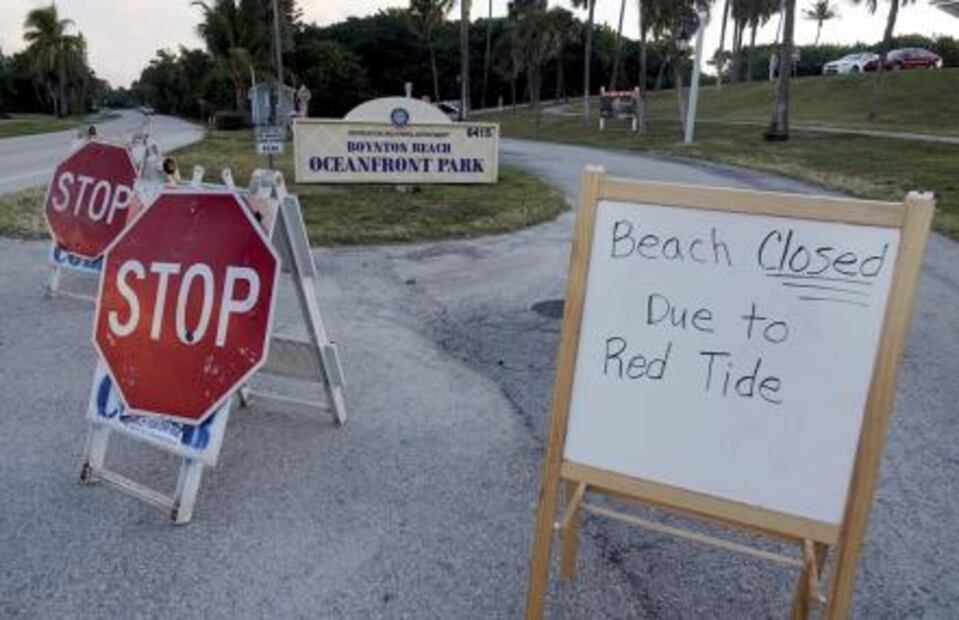 Cierran playas en Miami por presencia de marea roja