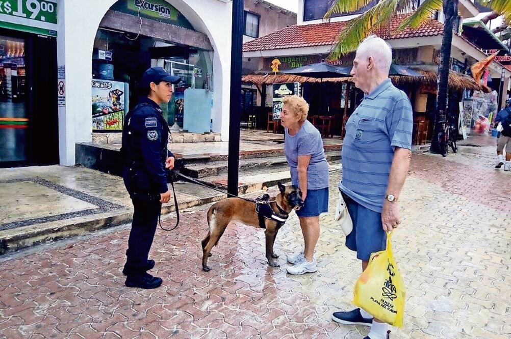 Las revisiones se realizarán en las salas de espera y en las embarcaciones de las dos empresas que brindan el servicio de transporte de pasajeros —Barcos México y Ultramar—, así como en el equipaje de quienes abordan, con apoyo de los perros. (CORTESÍA)