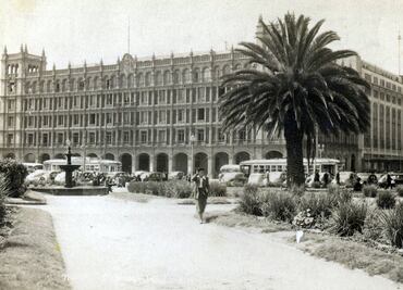 ¿Por qué hay palmeras en la Ciudad de México?