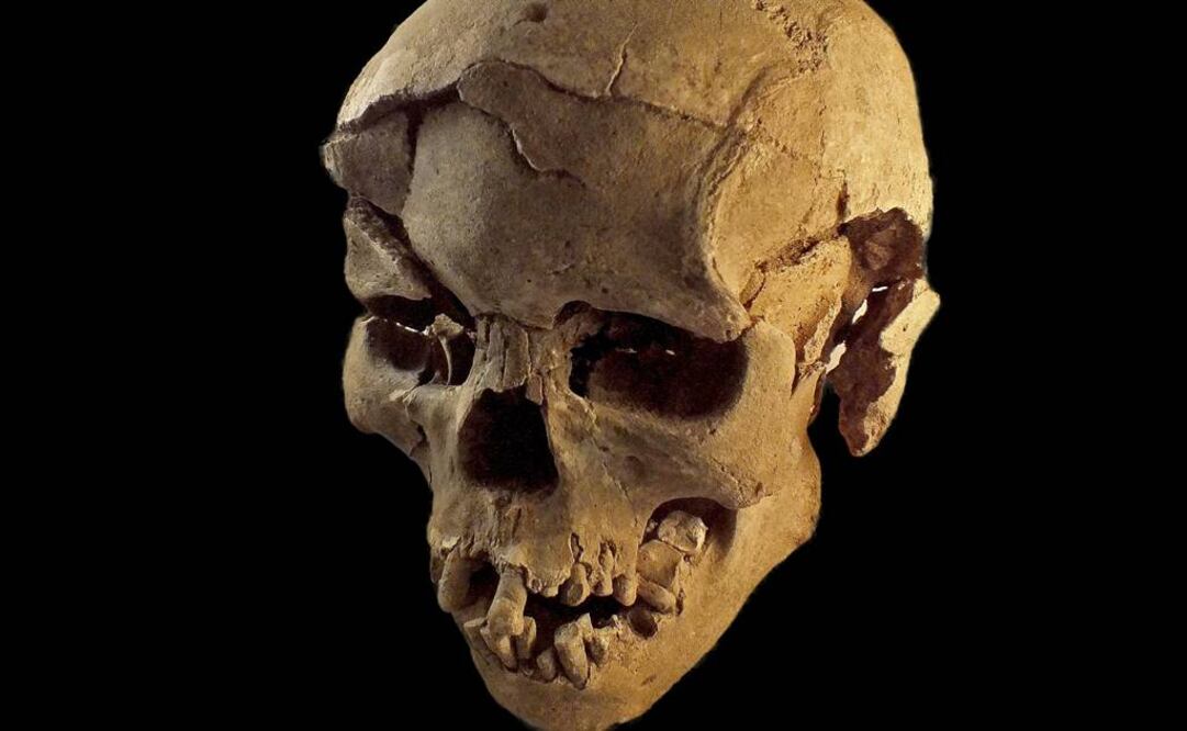 Lo más importante del hallazgo de Nataruk no es su fecha sino el hecho de que el conflicto ocurriera entre dos grupos de cazadores recolectores. FOTO: REUTERS.