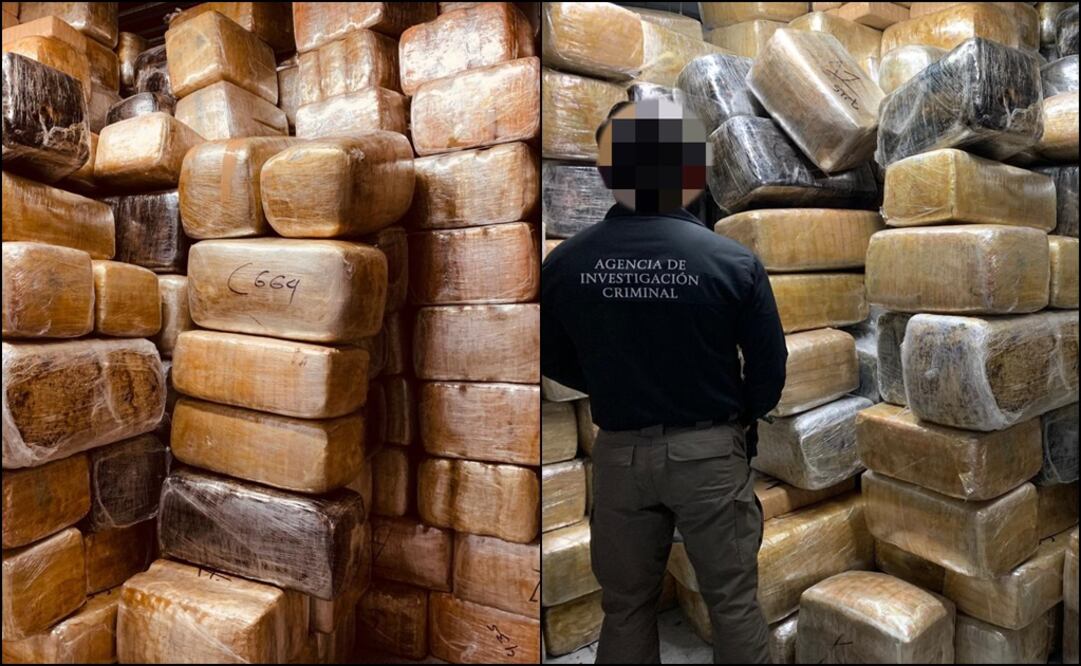 Toneladas de mariguana decomisada. Especial