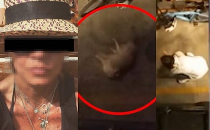 Mujer arroja a su mascota de un segundo piso tras disputa con su pareja