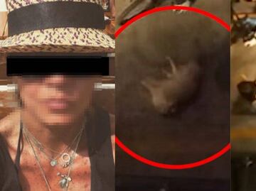 Mujer arroja a su mascota de un segundo piso tras disputa con su pareja