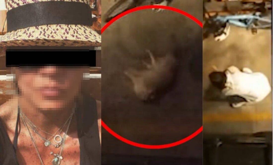 Mujer es captada arrojando a su mascota / Foto: Especial