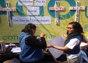 Realizan consulta para cerrar el zoo de Chapultepec