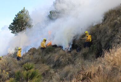 “Febrero loco y marzo otro poco”: Piden reportar los incendios forestales en Edomex