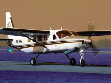 Pasajero inexperto aterriza avión; piloto estaba indispuesto