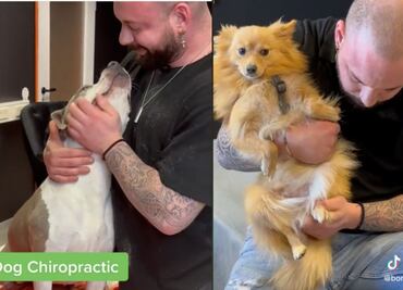 El quiropráctico de perritos que es un rockstar en TikTok