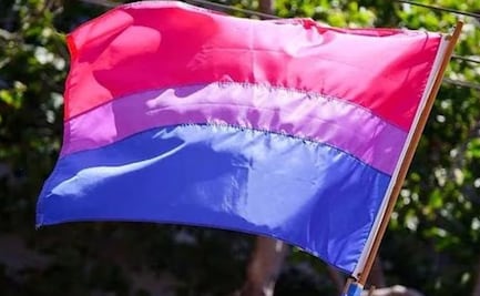 Día Internacional de la Bisexualidad: ¿Qué significan los colores de la bandera?
