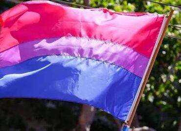 Día Internacional de la Bisexualidad: ¿Qué significan los colores de la bandera?