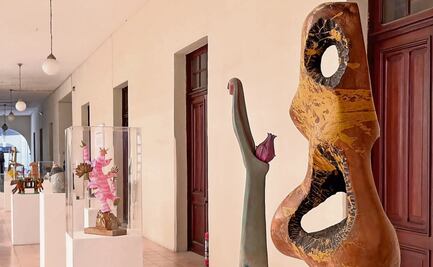 Macay no cierra, está en transición: fundación del museo e INAH