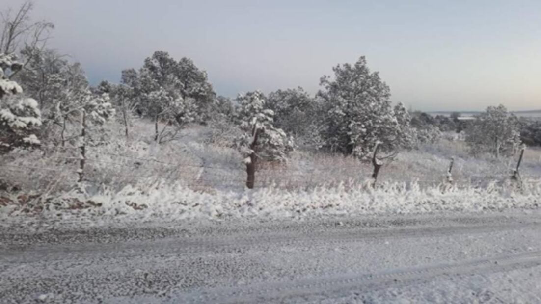 FOTOS: Cae nevada en 15 municipios de Chihuahua
