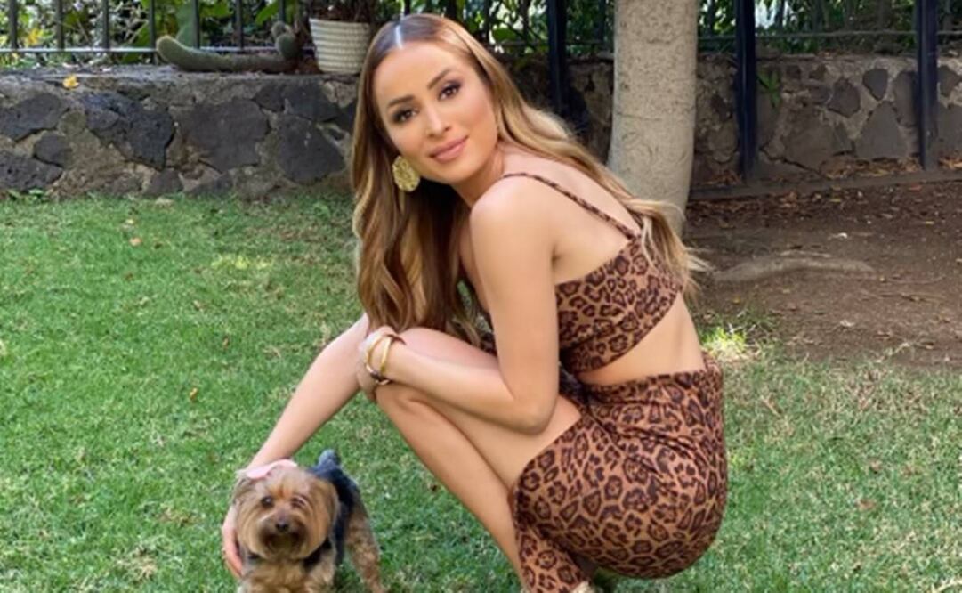 Cynthia Rodríguez está de luto por la muerte de su perrita Mía.