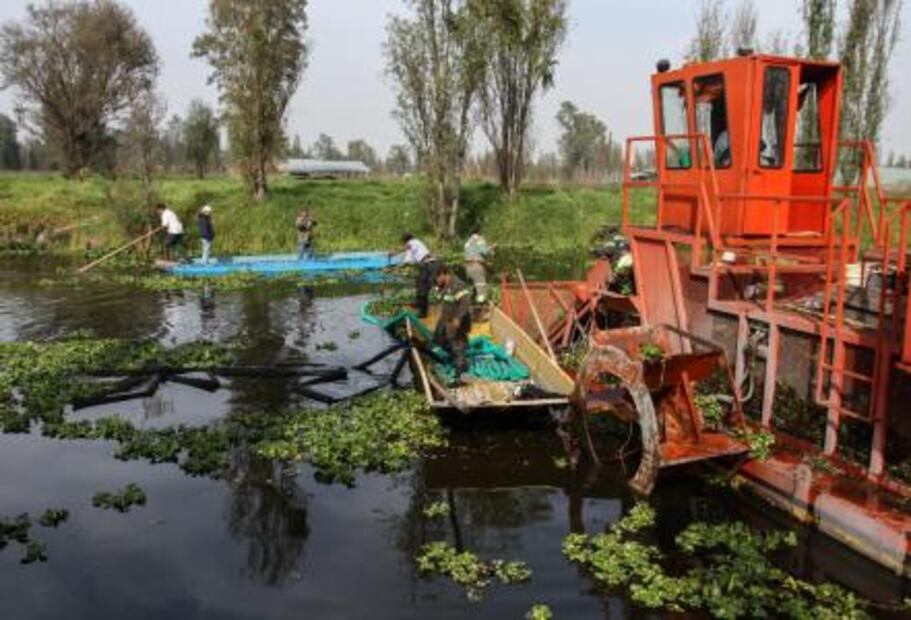 Once a pest, water hyacinth is now a sustainable product