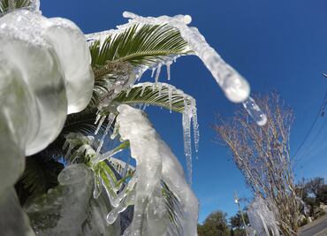 Video. Frío rompe récords en EU y cae nieve en Florida