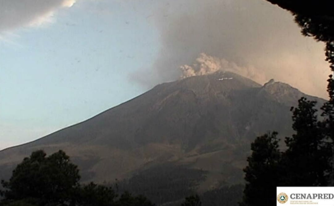 Foto: Tomada de la cuenta de Twitter @CNPC_MX