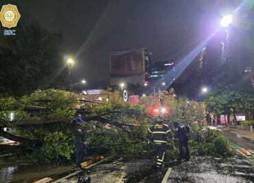 Intensas lluvias generan afectaciones viales; caída de árbol obstruye varios carriles en Insurgentes Sur