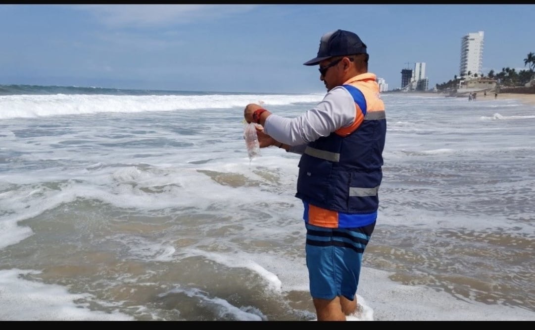 La Cofepris determinó que la calidad del agua del mar en las 22 playas de uso recreativo es apta para el uso y disfrute de los visitantes. | Foto: Especial.
