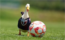 Atlante sorprende con fichaje viral del "Pato Merlín" tras su regreso a Liga MX