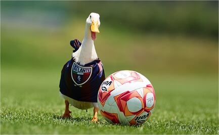 Atlante sorprende con fichaje viral del "Pato Merlín" tras su regreso a Liga MX