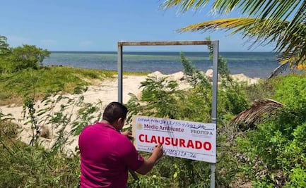 Semarnat coloca sellos de clausura en zona de dunas de Chabihau, Yucatán; trabajos con maquinaria provocan daños ambientales