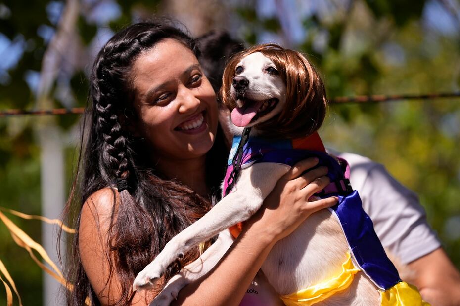 Una mujer sostiene a su perrita llamada "Rebeca" en el desfile de carnaval canino "Blocao", en Río de Janeiro. Foto: AP