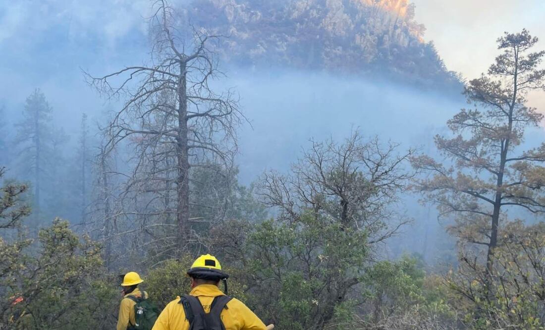 Incendio forestal en sierra de Agua Prieta, Sonora (20/06/2025). Foto: Protección Civil Sonora