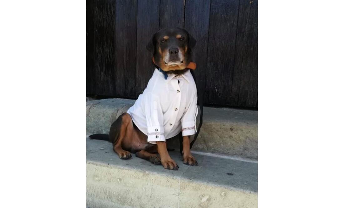 Foto: Facebook @AbelardoRuizAcevedo