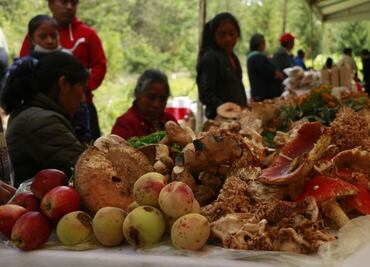Micólogos y pobladores de Oaxaca celebran Festival de Hongos en Tlaxiaco