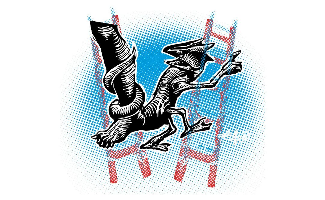 Salvador García Soto