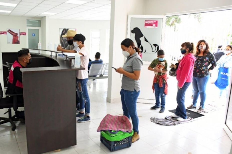 Entra en funciones la primera clínica veterinaria en Neza