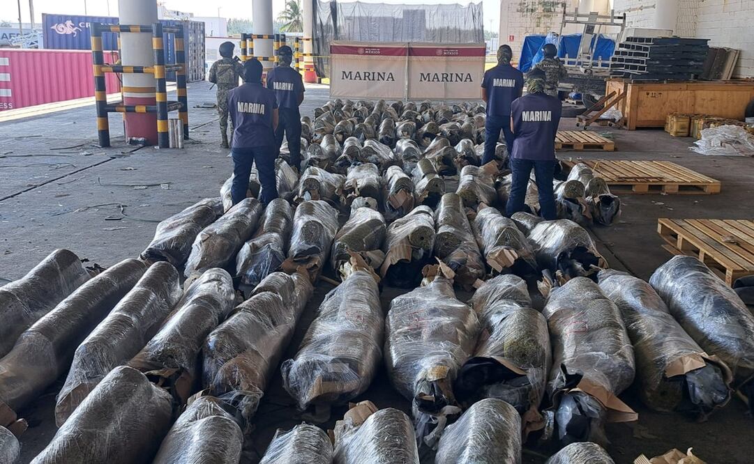 FGR asegurara más de 750 kilos de marihuana. Foto: Especial