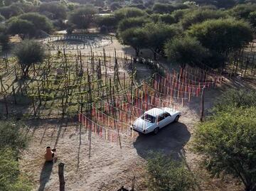 Ineffable, el nuevo viñedo circular en San Miguel de Allende