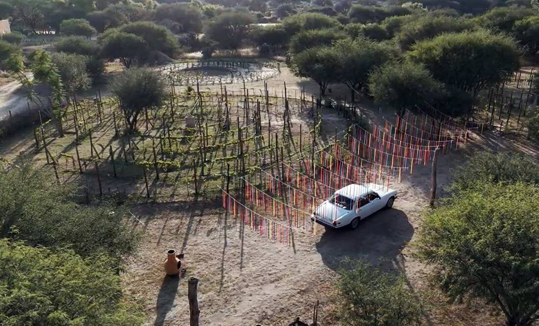 Foto: Ineffable Boutique Vineyard