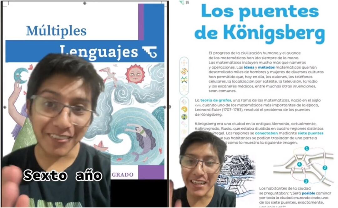 El video cuenta con 459 mil reproducciones, más de 50 mil “likes” y con diversos comentarios por parte de usuarios de la red social. Foto: TikTok. @elsumota