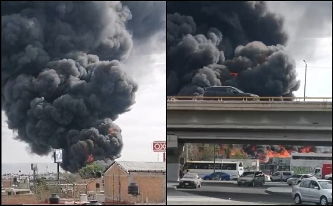 Foto: Captura de pantalla