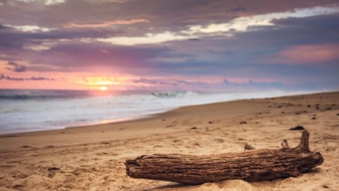 #TuFotoTuDestino El desierto donde encontrarás un bosque petrificado