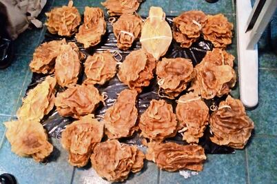 Aseguran 375 buches de totoaba