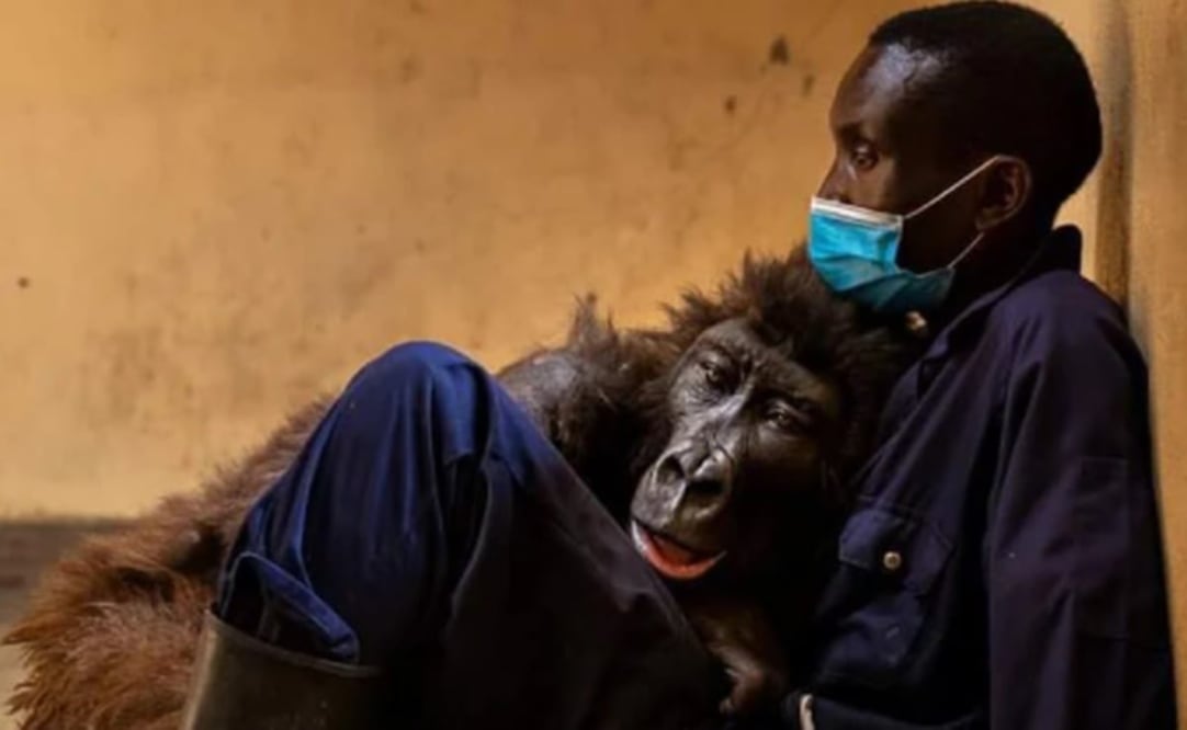 Foto: Virunga National Park