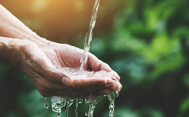 Las mujeres juegan un papel crucial en la ciencia del agua, liderando investigaciones sobre gestión de recursos, contaminación hídrica, ecología marina y sostenibilidad.