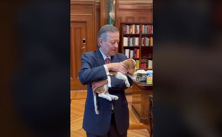 Arturo Zaldívar recibe visita especial en oficina de la Suprema Corte