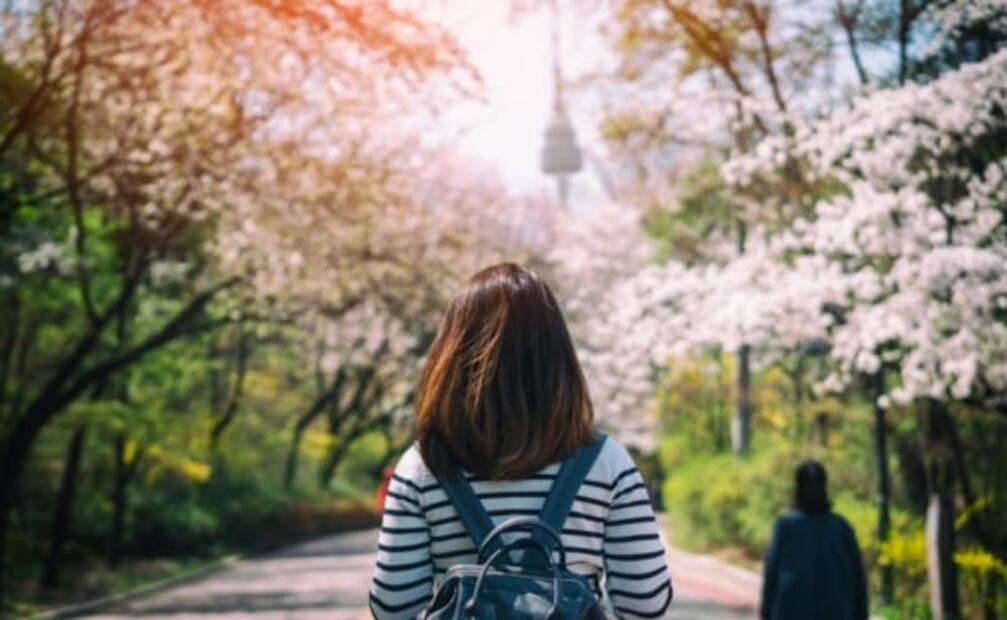 Cuánto dinero tienes que ahorrar para viajar a Seúl