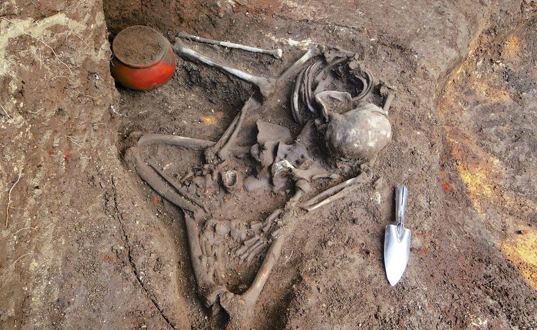 La erupción del volcán Ilopango habría acabado con todos los seres vivos en un radio de 40 kilómetros. En la imagen, una osamenta de la zona arqueológica de Nueva Esperanza. Foto: EFE, archivo