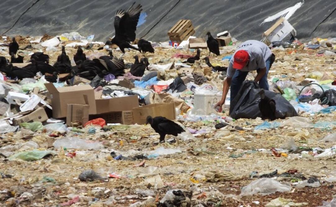 Desechos en el mundo sería el equivalente de hasta 9 mil 500 mdd de gas natural al año. Foto: Archivo