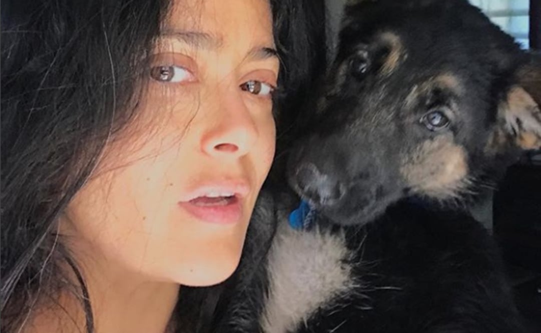 Salma desborda sensualidad en bikini. Foto: Instagram
