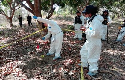 Suman 57 fragmentos óseos los encontrados por caravana de búsqueda en Michoacán